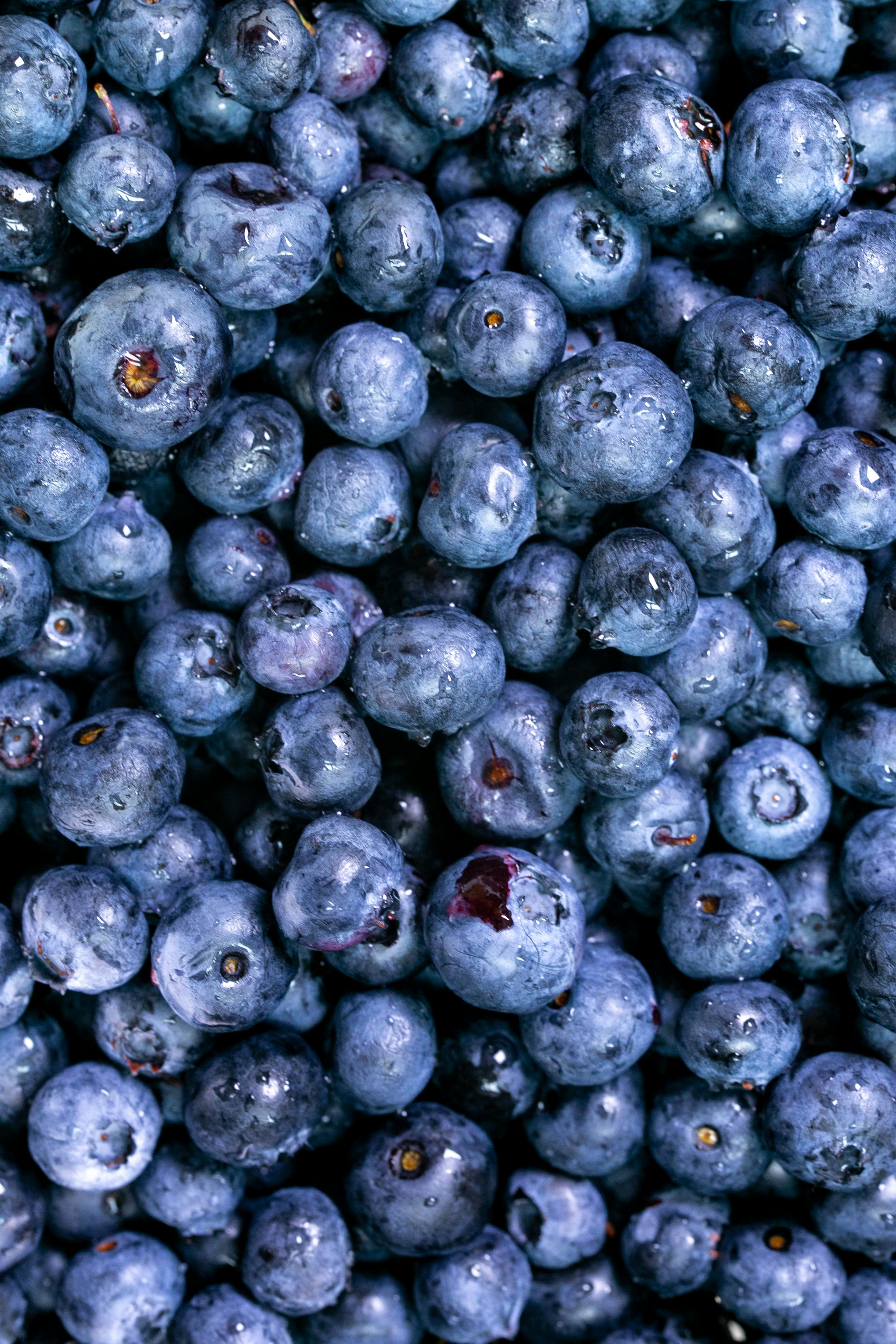 Keto Grocery List