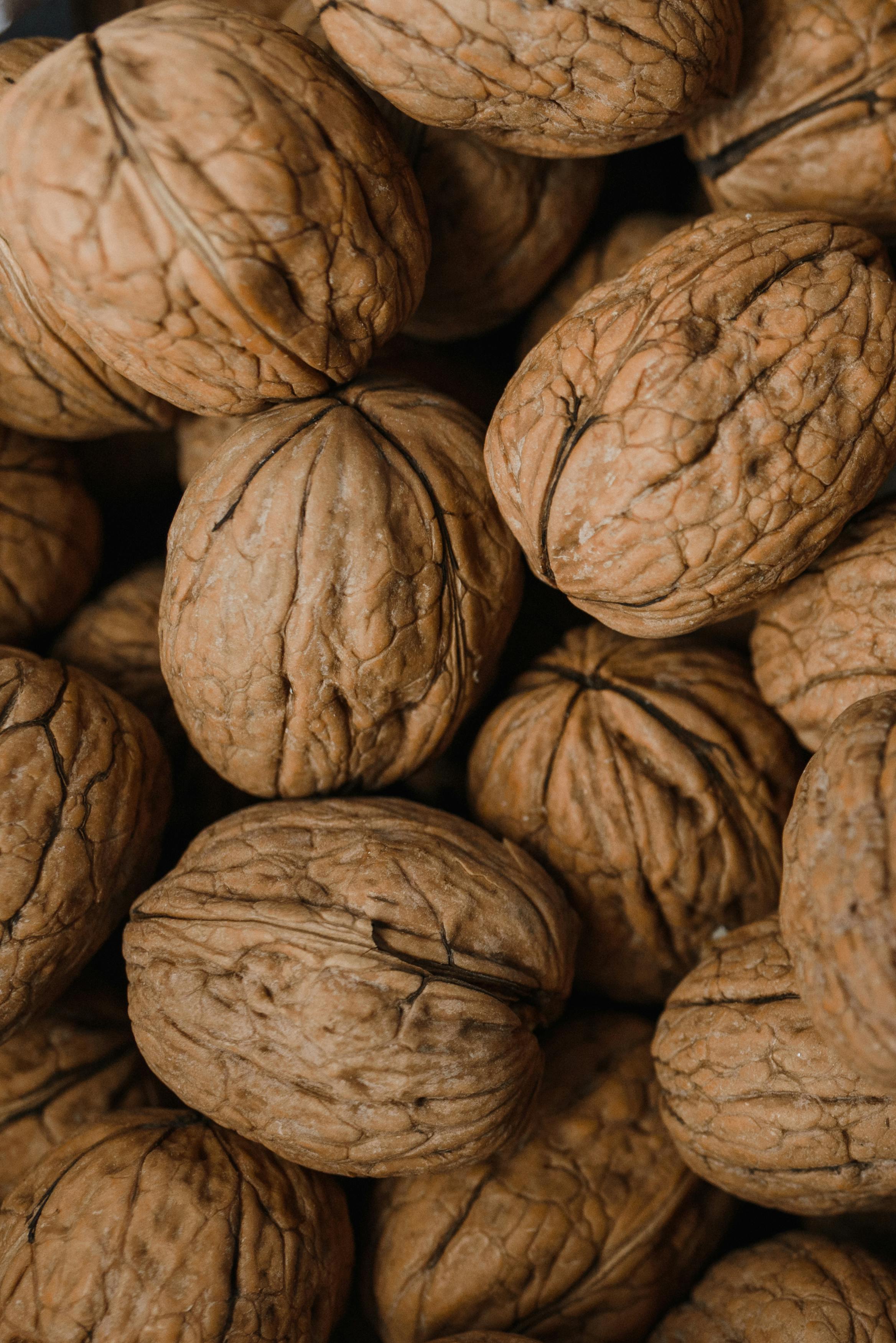 10 Incredible Foods That Start With O You Must Try in 2025