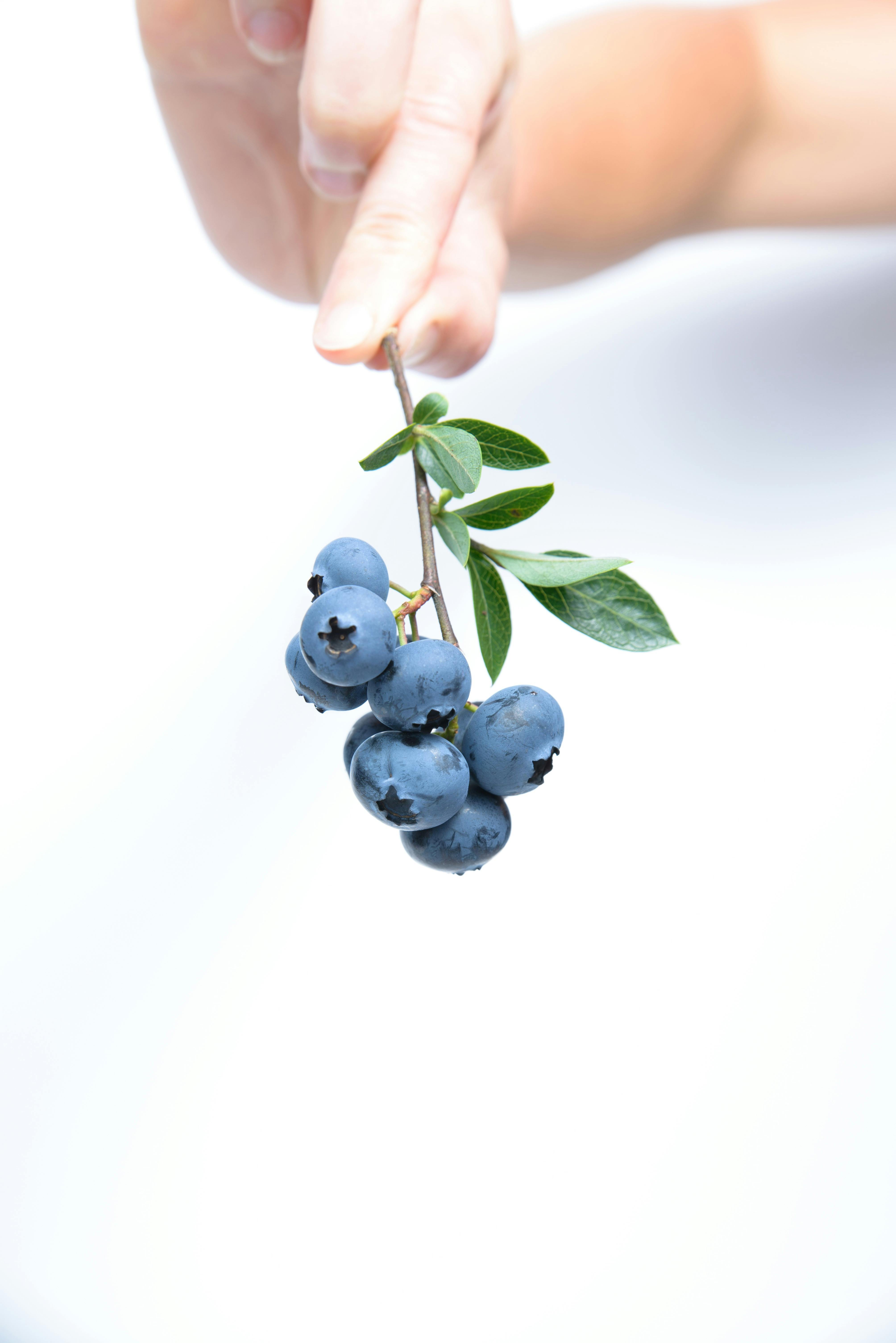 Keto BHB Gummies