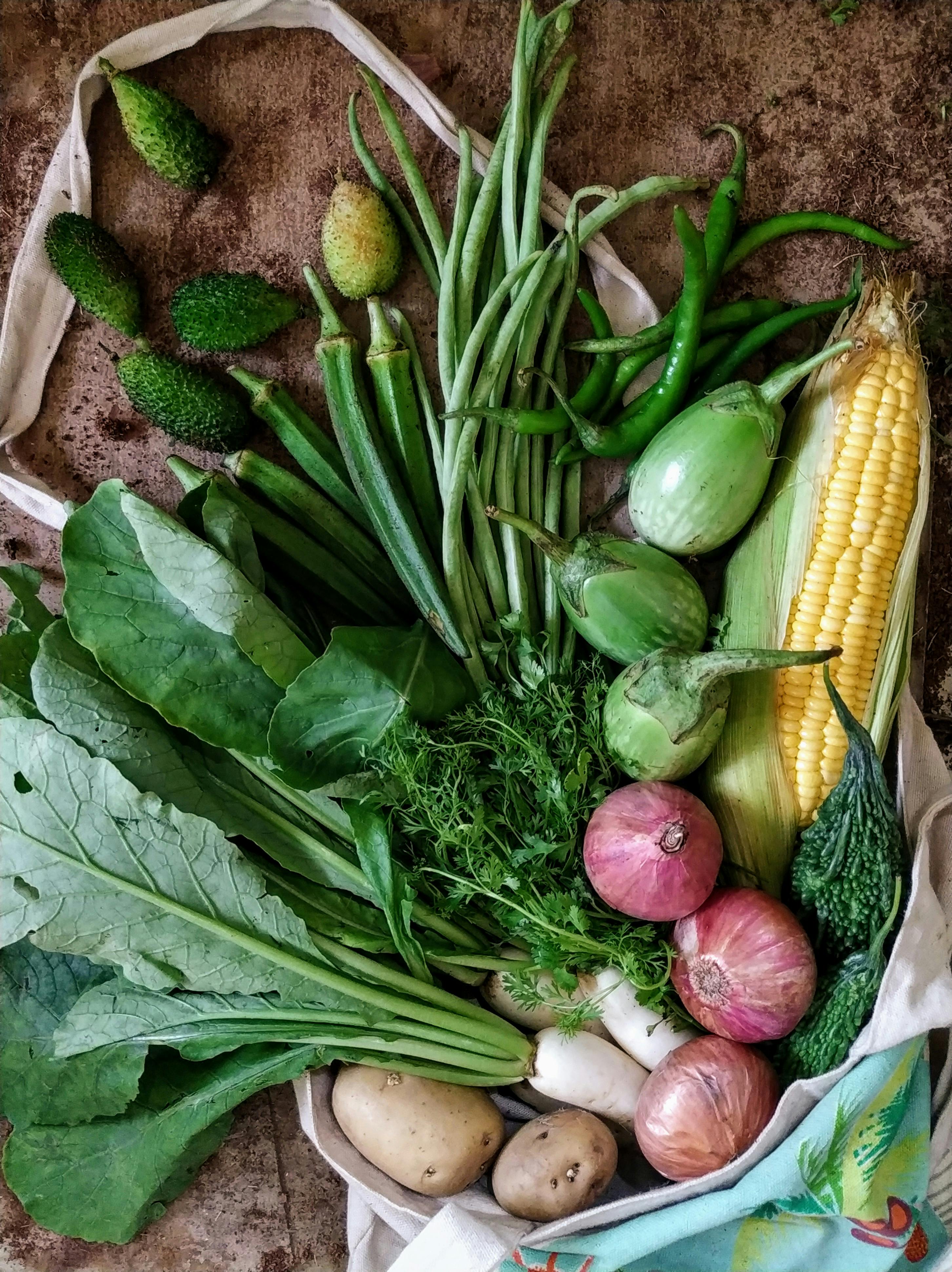 Best 5 Sugar-Free Foods for a Healthy 2025