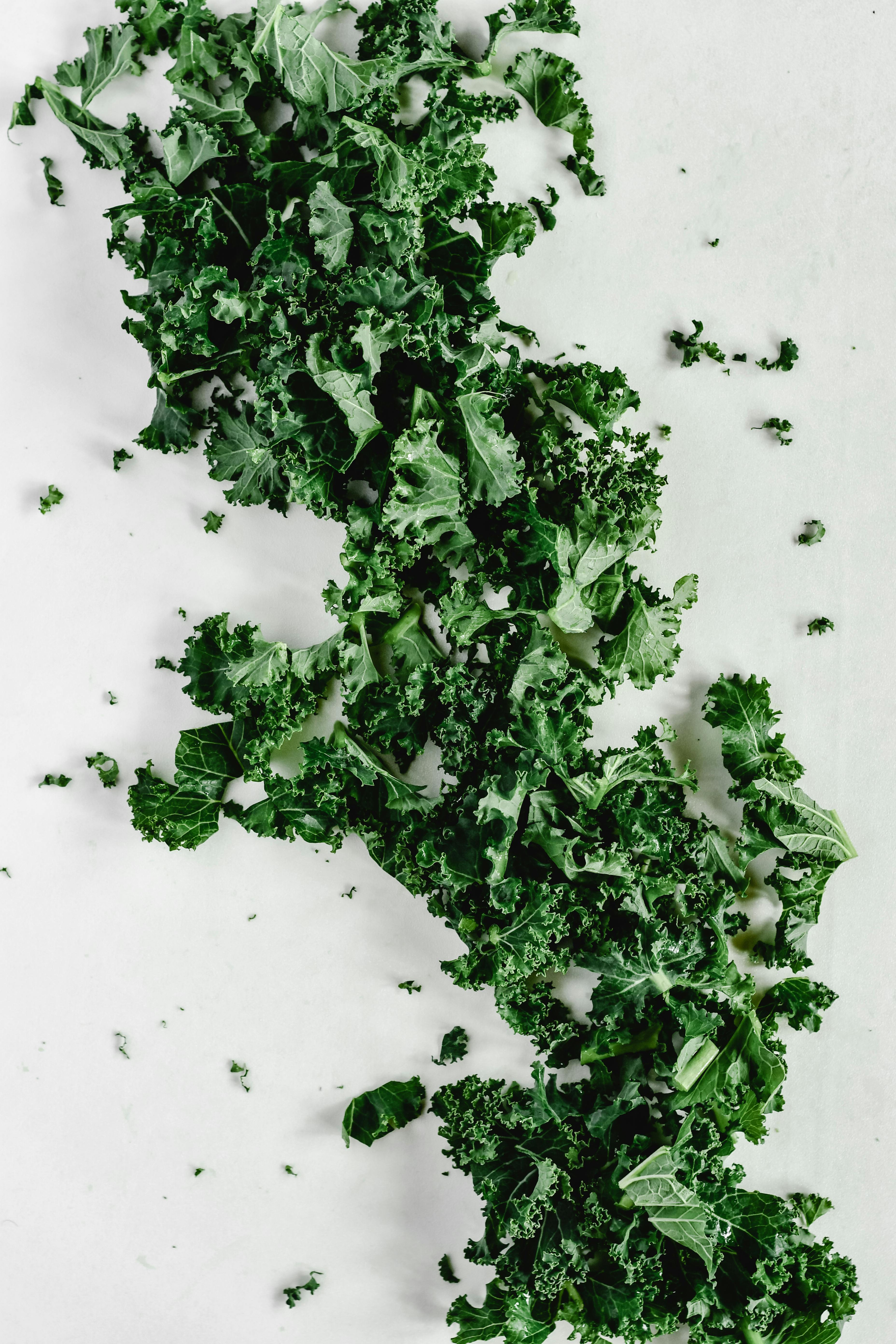 Top 5 Effective Ways to Differentiate Keto and Carnivore Diets in 2025