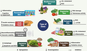 Keto vs Paleo Comparison